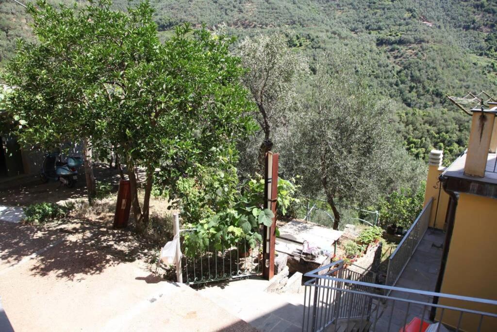 Le Case Della Lizza - Casa Verde Levanto Exteriör bild