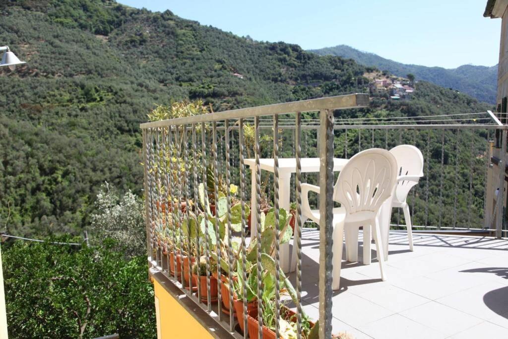 Le Case Della Lizza - Casa Verde Levanto Exteriör bild