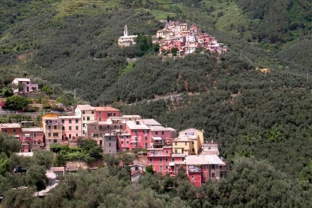 Le Case Della Lizza - Casa Verde Levanto Exteriör bild