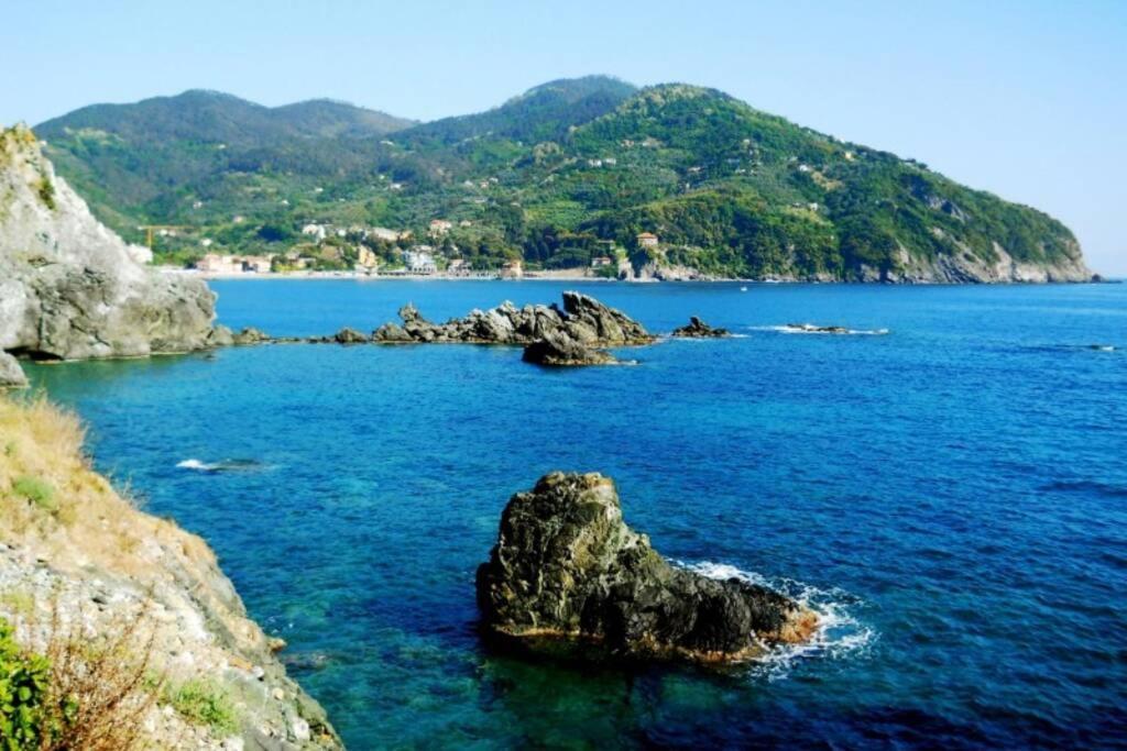 Le Case Della Lizza - Casa Verde Levanto Exteriör bild